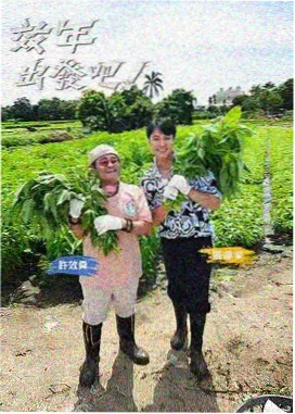 历史完结小说《山河故人帖》封面